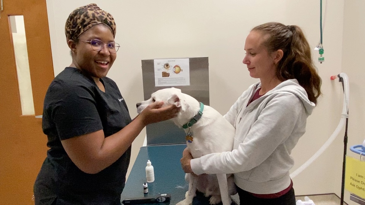 Accessibility Statement True North Veterinary Eye Care